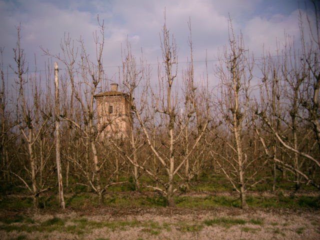 Torre di Casino Tusini by mirtillause