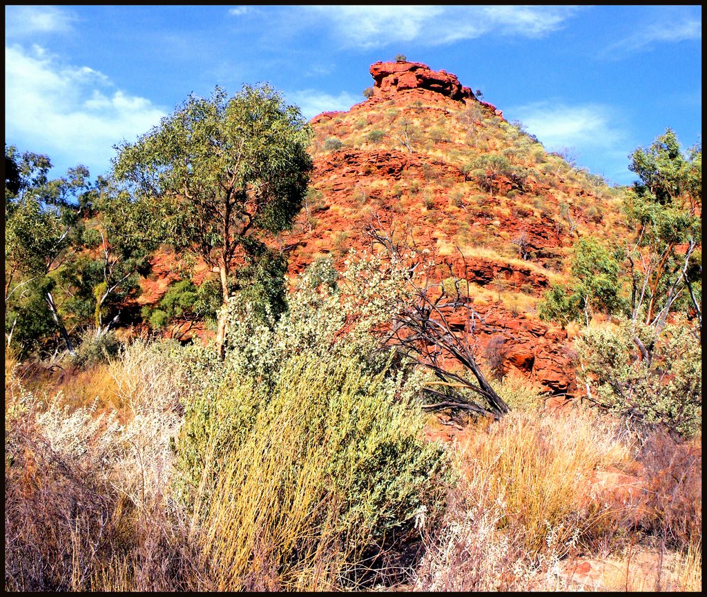 Kings Canyon colors...© by leo1383 by leo1383