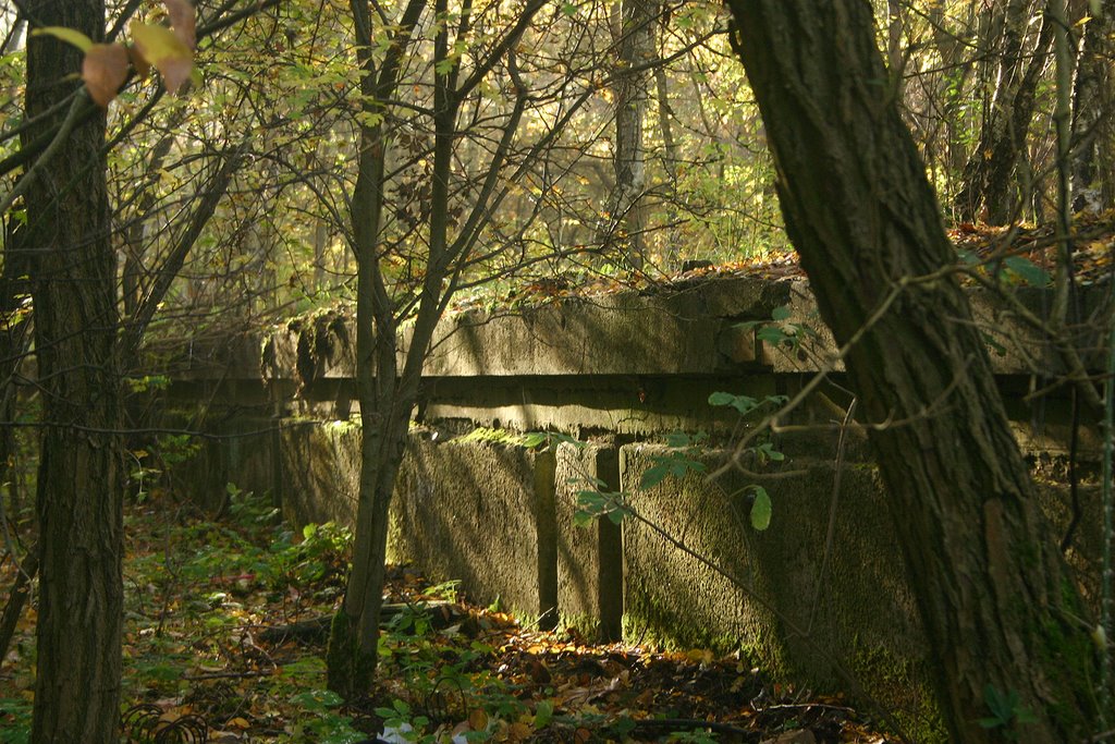 Bahnsteigkante by M. Rentmeister