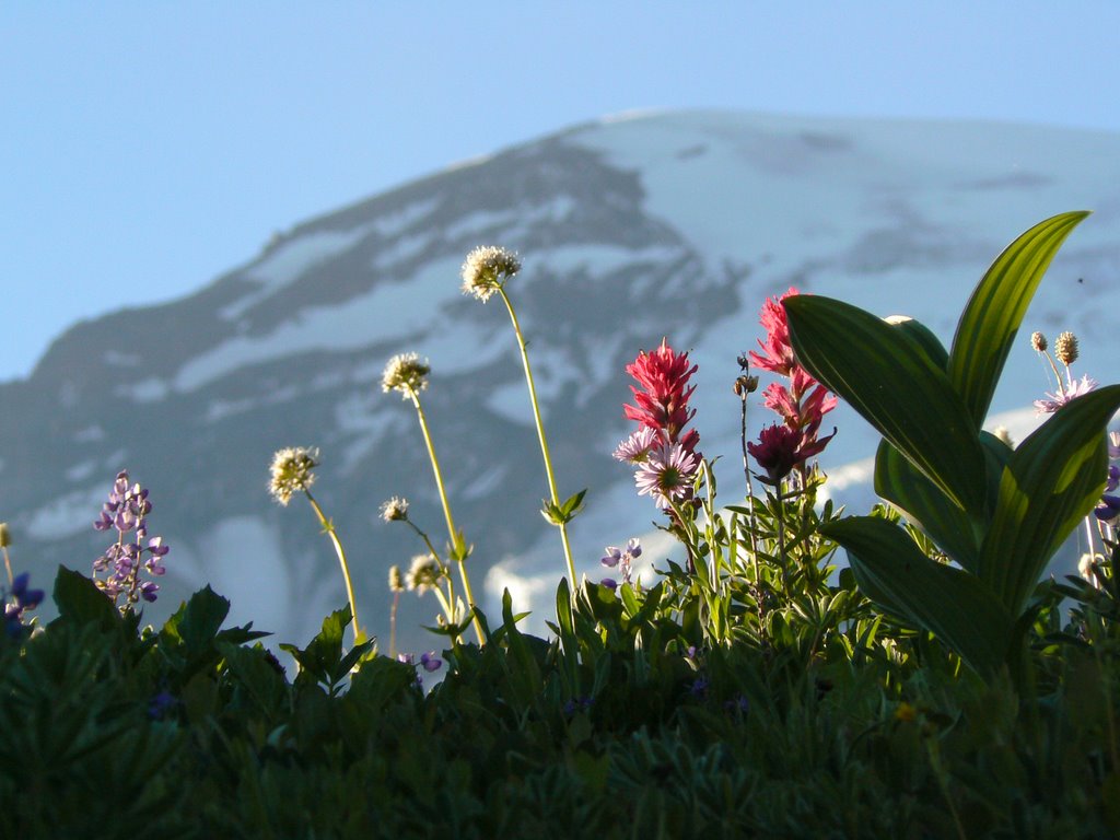 Mount Rainier, Paradise Inn by vizeum