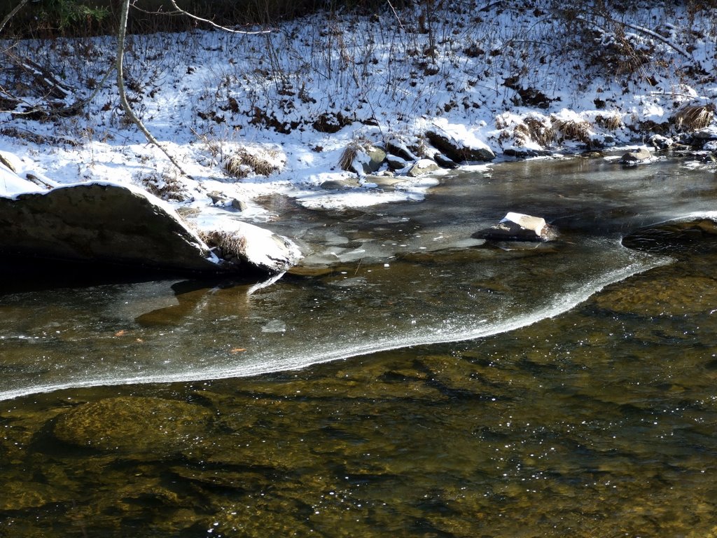 Wautaga River Snowfall Nov 08 by swipper_74