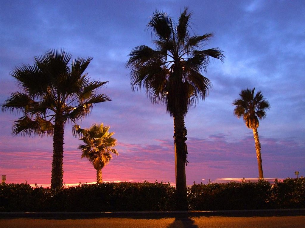 California > Carlsbad > Sunset at Carlsbad Blvd by ©JPix