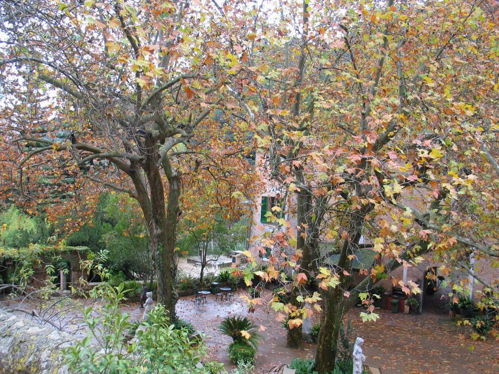 Otoño en Mallorca by Gines Collado