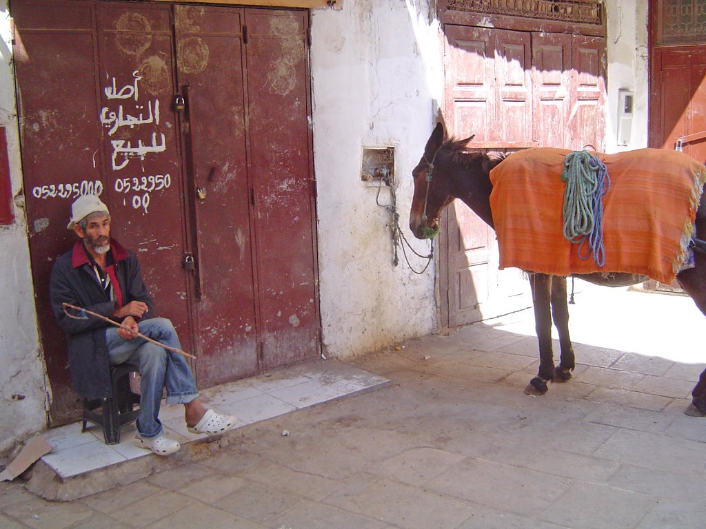 Medina, Fez by gordon stevenson