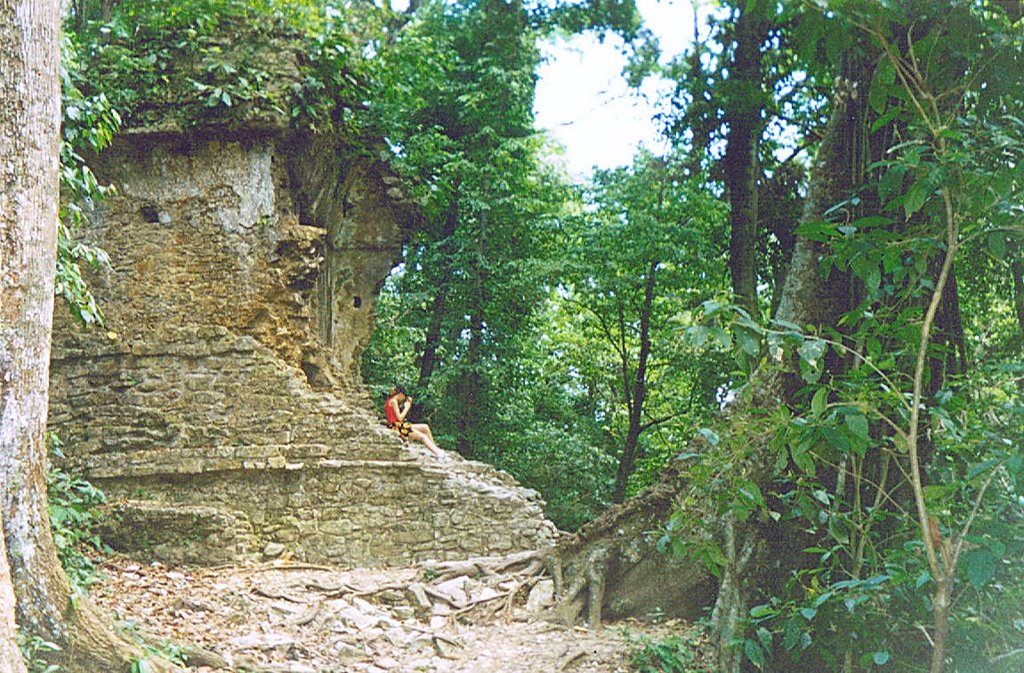 Palenque, Chis., Mexico by Williemex