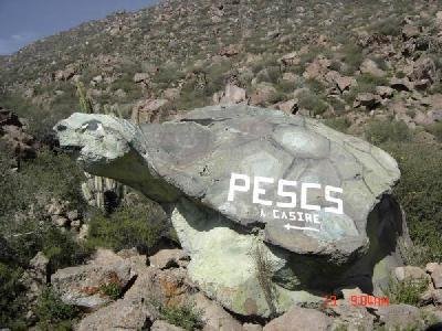 Tortuga de Piedra - Casire - Pauza - Paucar del Sara Sara - Ayacucho by ENVER ORTIZ LÓPEZ