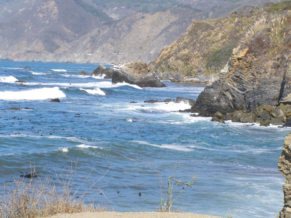 PCH outside Big Sur by Peggy and Ed