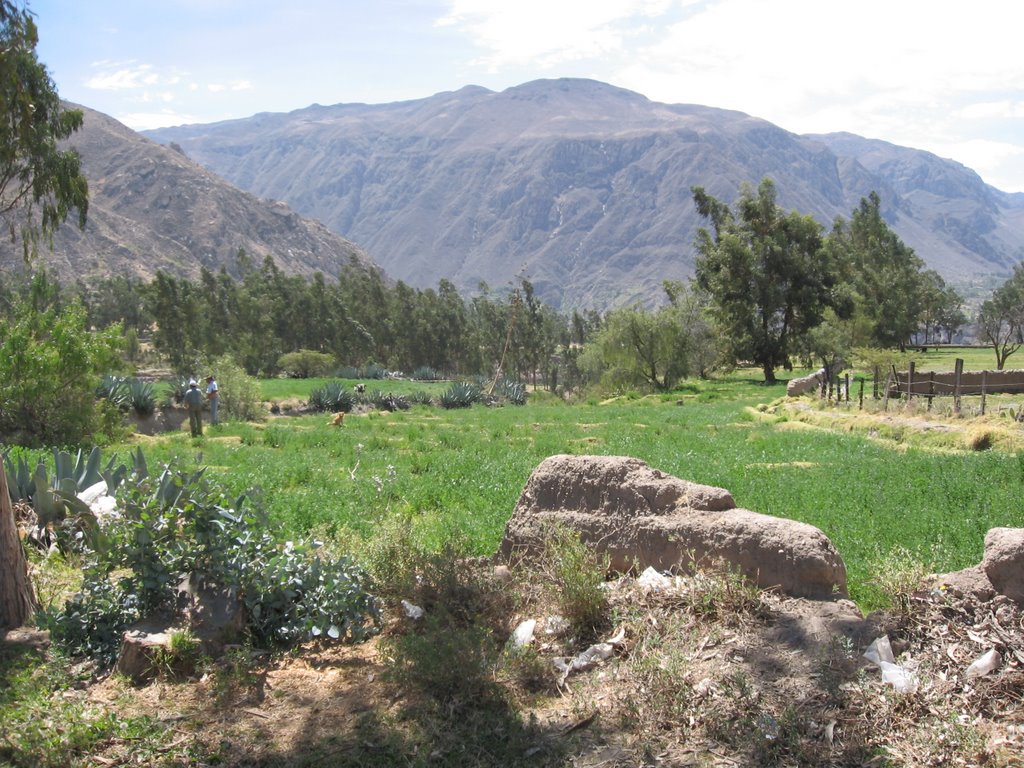 Ccaraspampa - Pauza - Paucar del Sara Sara - Ayacucho by ENVER ORTIZ LÓPEZ