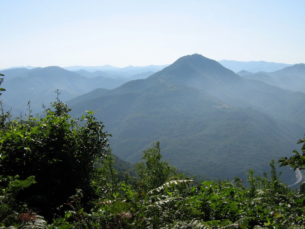 Monte Reale (Visto dalle Vaje) by pinceto