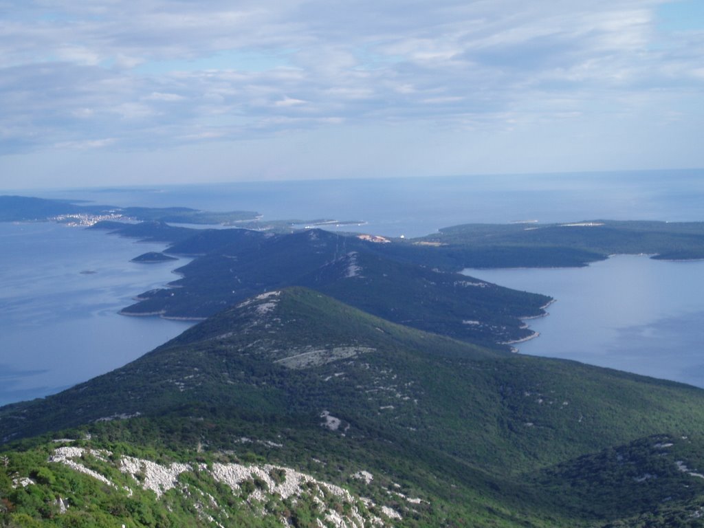 POGLED U DALJINU by slobodan devic