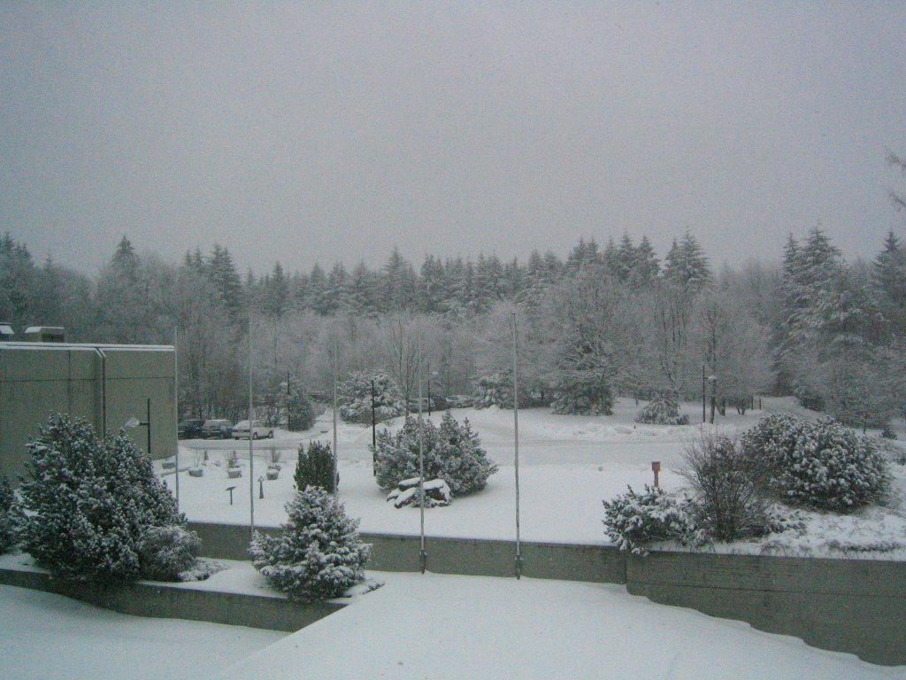 Heidelberg Max-Planck Institute for Astronomy (WINTER) by chafar