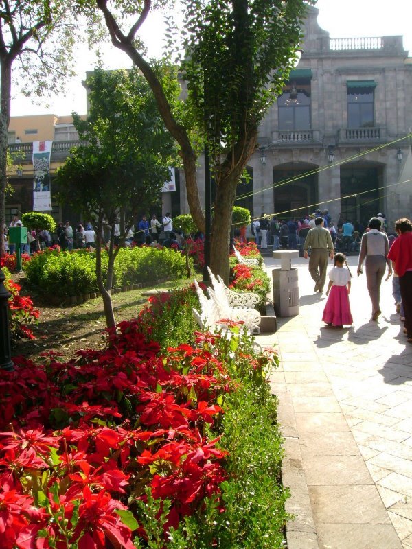 Tlalpan, Mexico, DF by Jorge Mastache