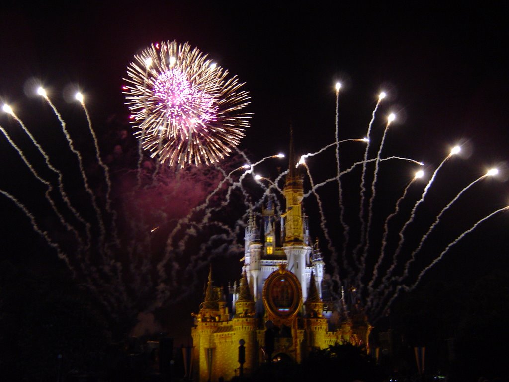 Magic Kingdom - Fireworks at Midnight over Cinderella´s Castle by Holger Gail