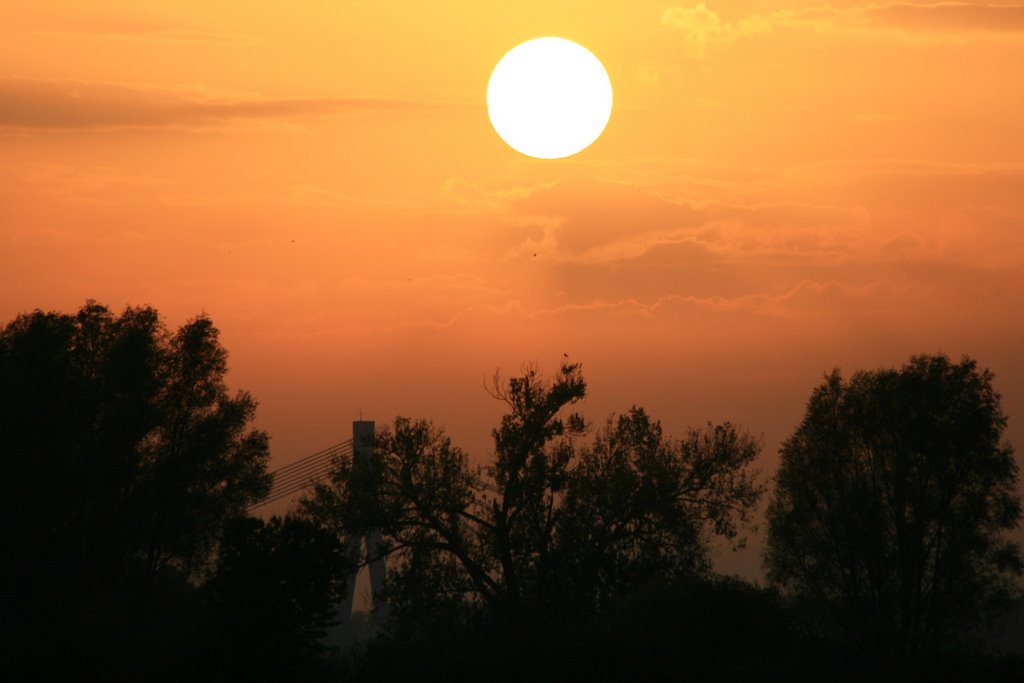 Die Sonne in der Pfalz by Lilija Dobrovolska