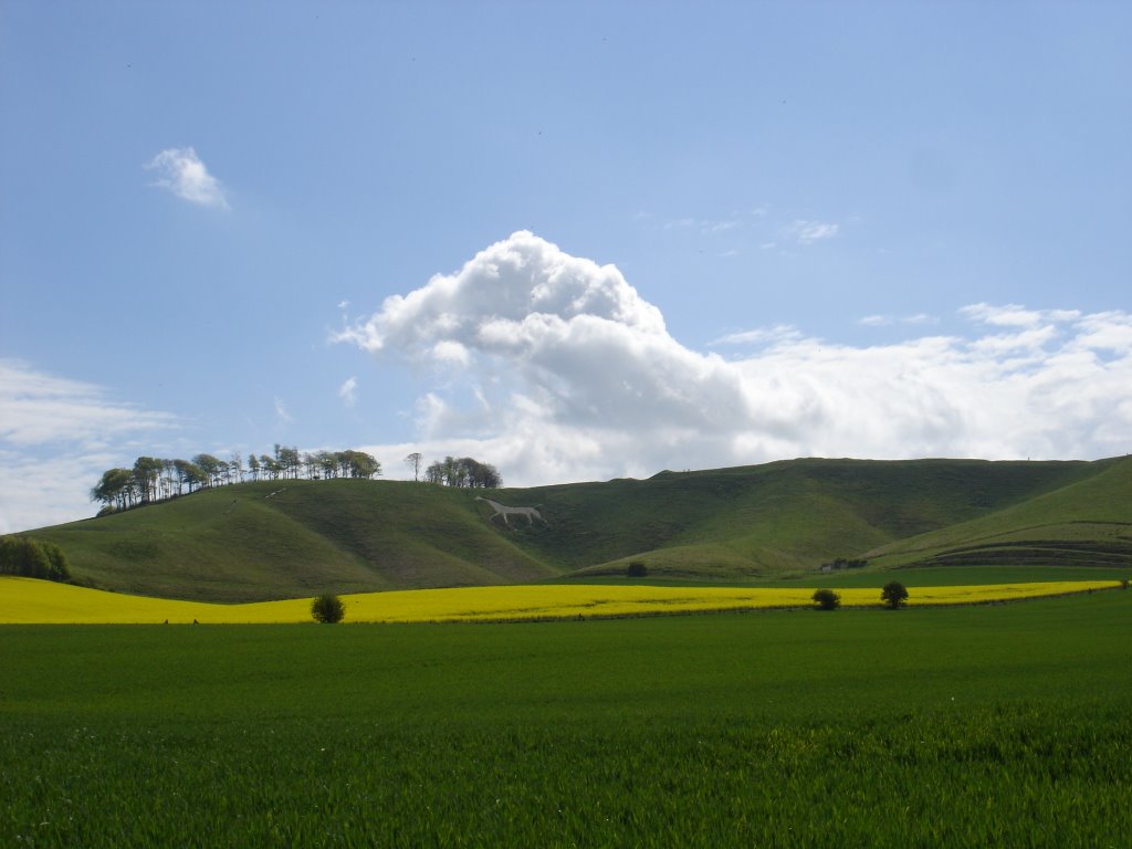 Cherhill White Horse 2005 by Zygi