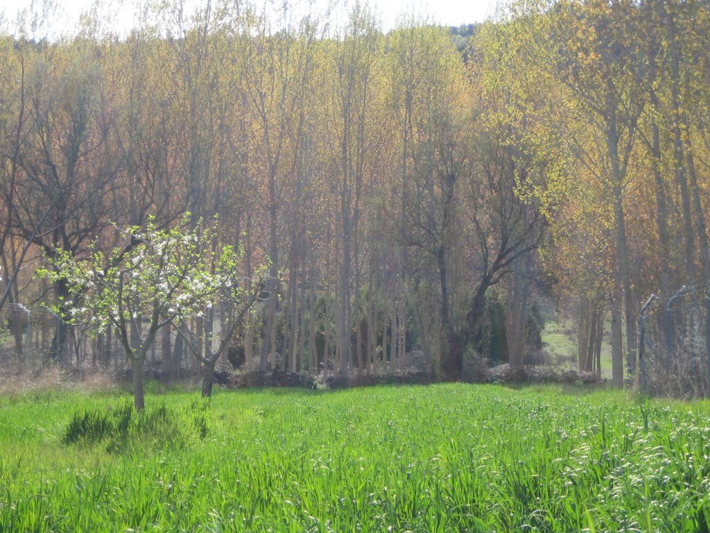 Primavera en Pajares by pajareño@svk71