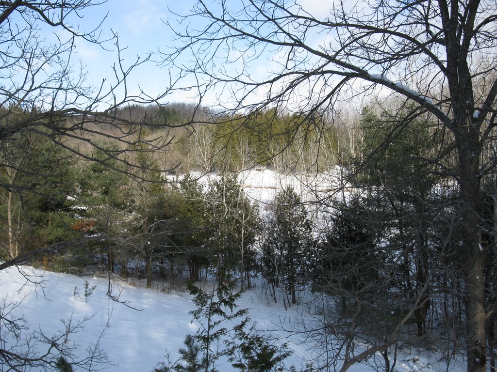 Bruce Trail - Hockley Valley Provincial Nature Reserve by amorgan