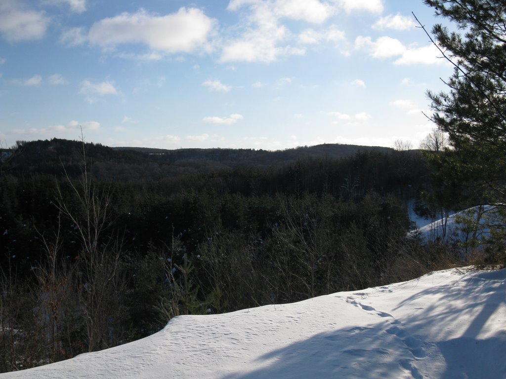 Bruce Trail - Hockley Valley Provincial Nature Reserve by amorgan