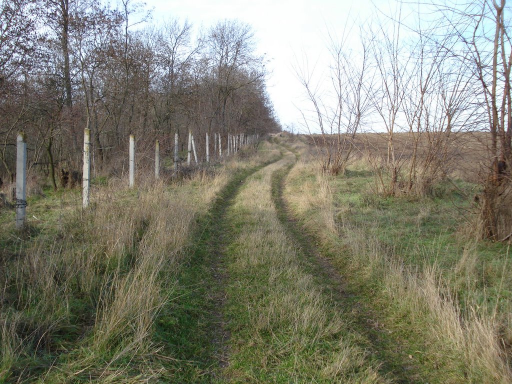 Bilhorod-Dnistrovs'kyi district, Odessa Oblast, Ukraine by ©Bushmaster