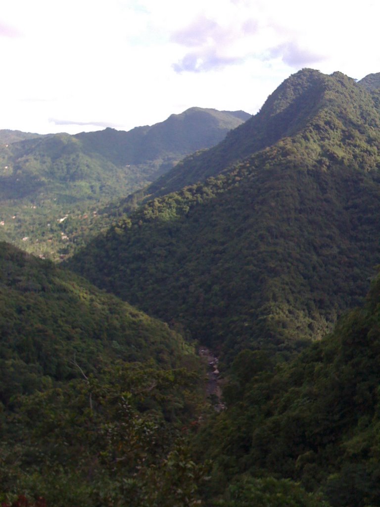 Toro Negro, Ciales, Puerto Rico by ferni69