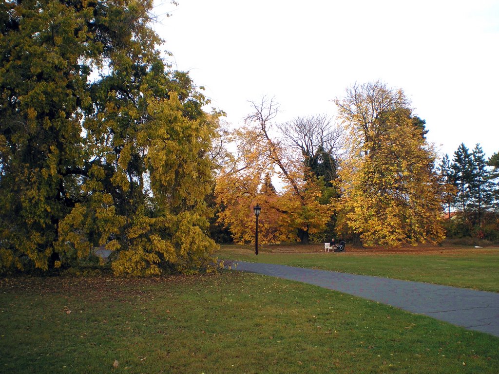 Keszthely, Festetics courtyard - October 2008 by Roberto Bubnich