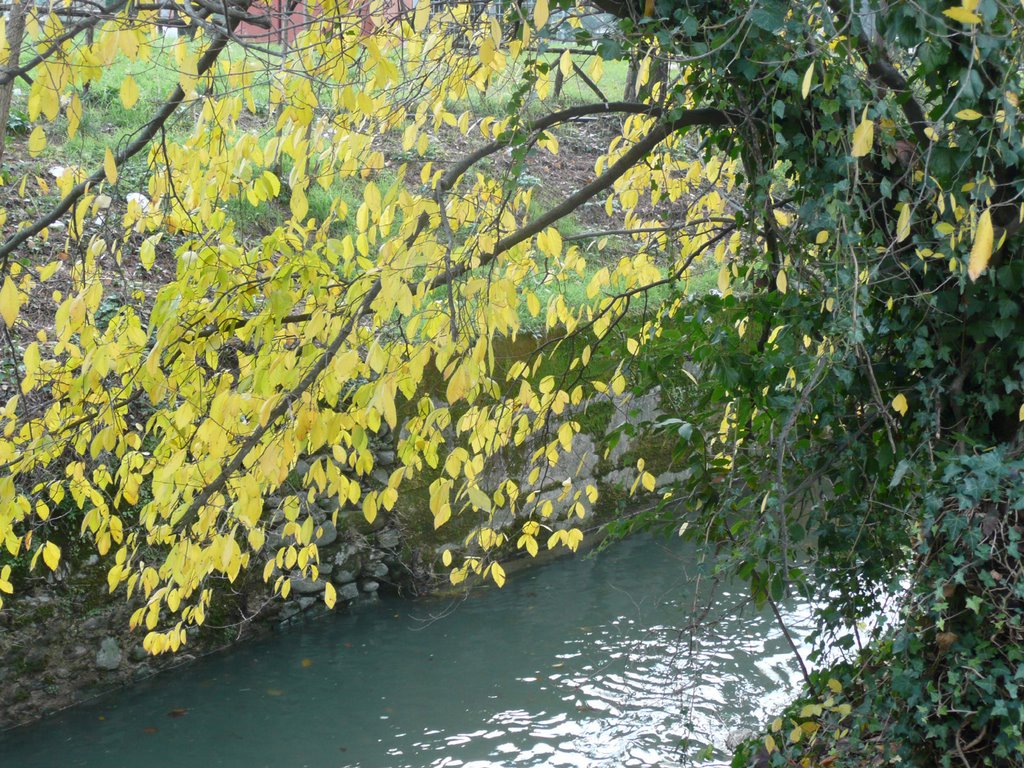 Pistoia, autunno al parco by Aldo Ferretto