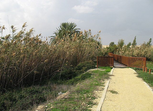 Path to the lake by sharonzinha