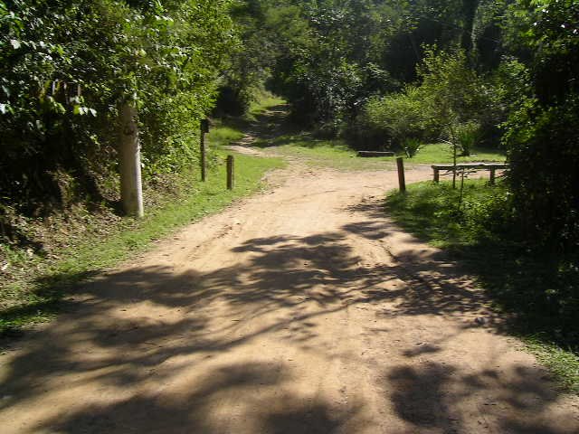 Parque municipal by felipe.rjrio