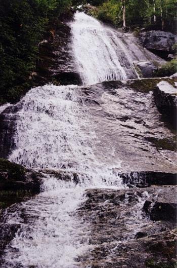 Falling Water Trail Franconia, NH by wnl27