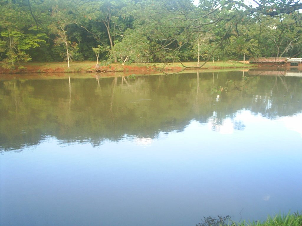 Lago do Parque Arthur Thomas/Londrina-Pr by bortolato