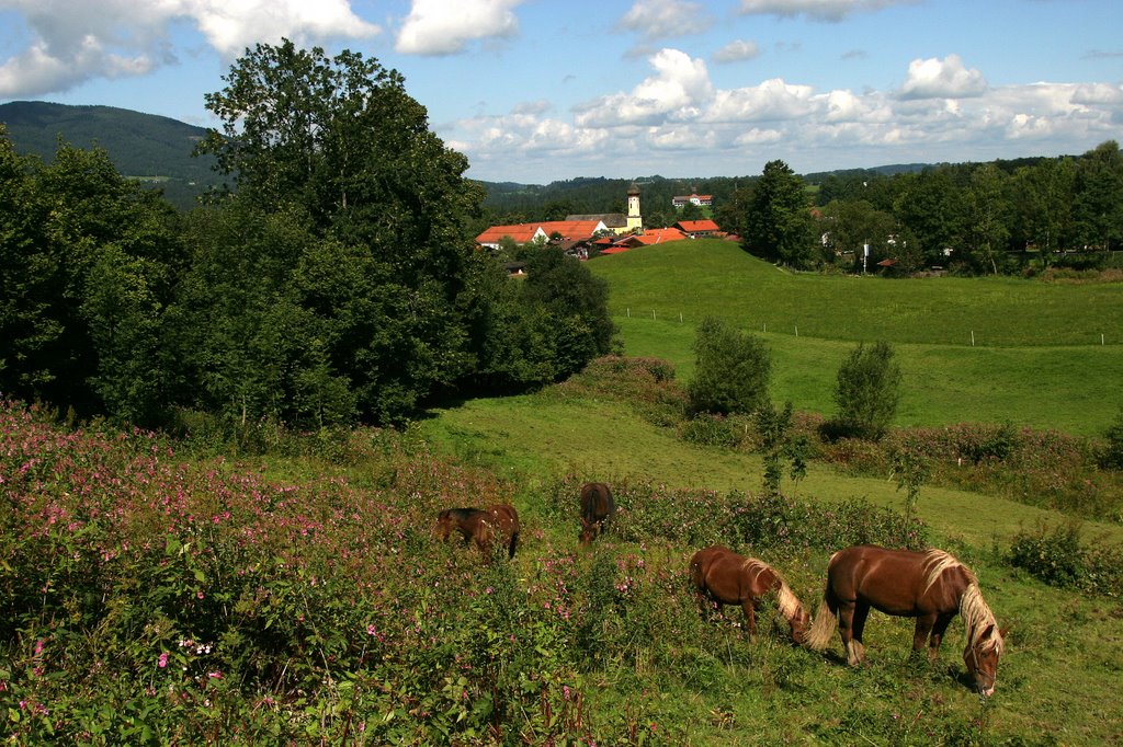 Fischbachau vom Bichl by heinzklein