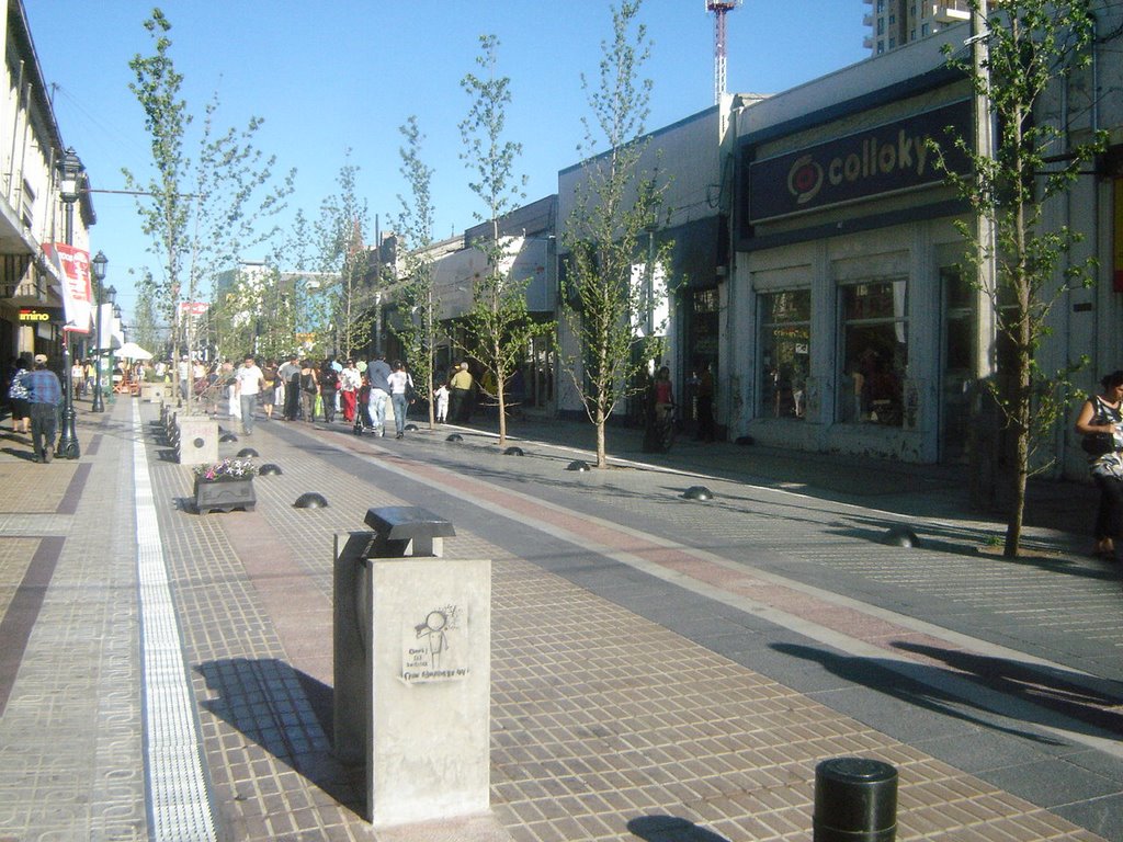 Paseo Peatonal Talca by reimundo