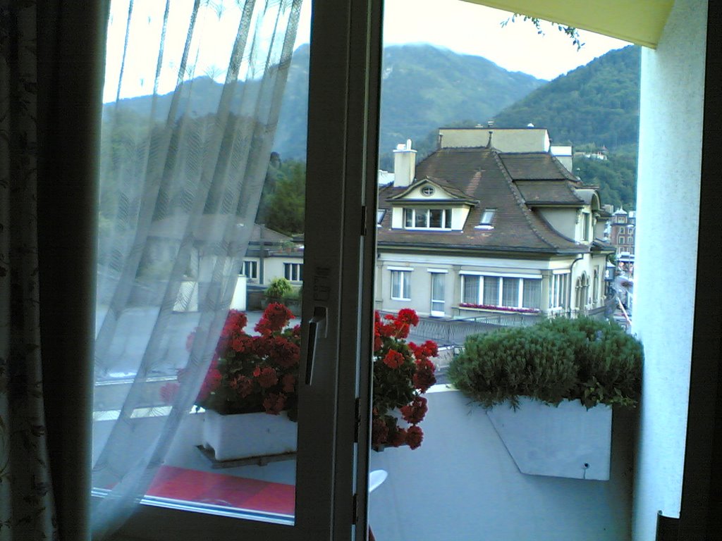 From Hotel Bernerhoff, Interlaken by Shrung Vachhrajani