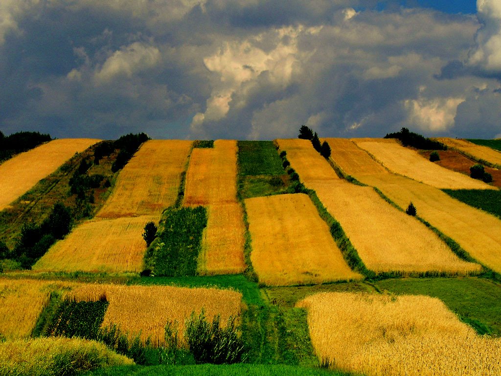 Pasiaki świętokrzyskie by Bokiel