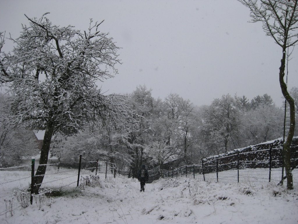 Hotton, entrée de Marenne sur GR577 by janmatthieu