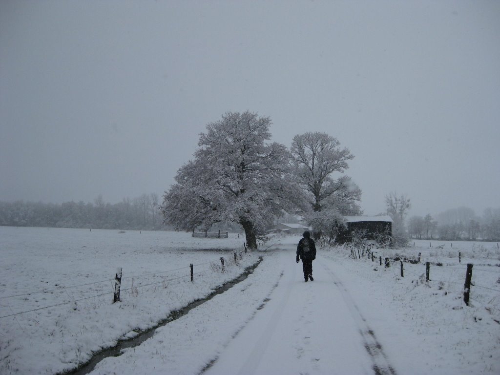 Marche, Verdenne winter by janmatthieu