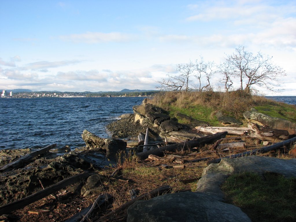 Nanaimo harbour seen from Biggs Park on Jack Point by frtzw906