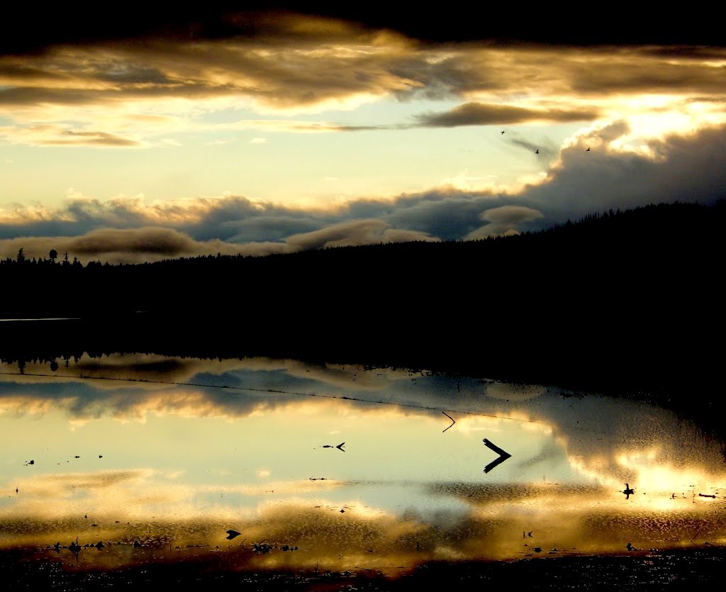 Masset, BC, Canada by someGuyinmasset