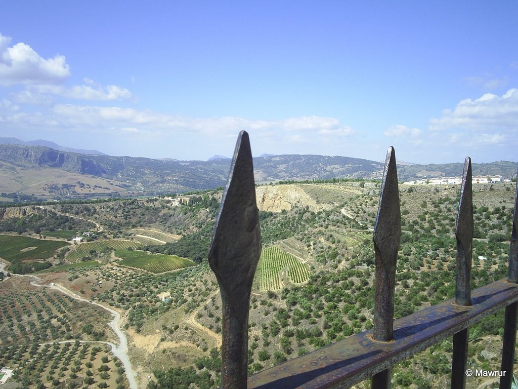 Ronda. Málaga. 23 by Mawrur