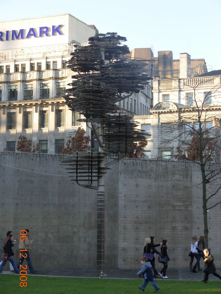 Piccadilly Gardens Christmas '08 by dublinmags