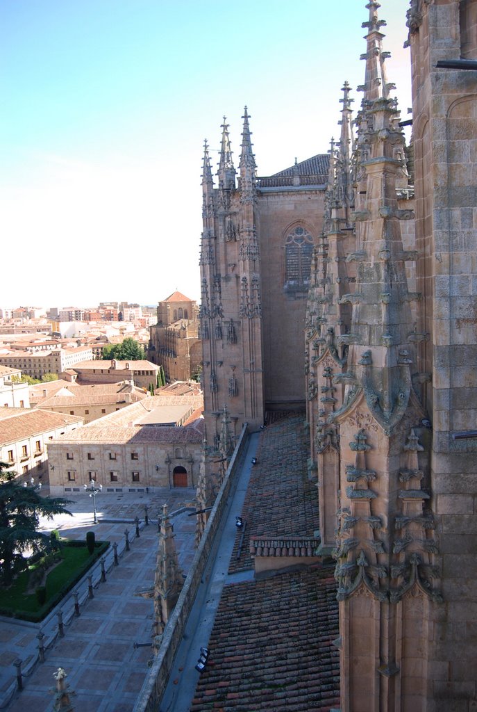 TEJADOS CATEDRAL by Salvalera