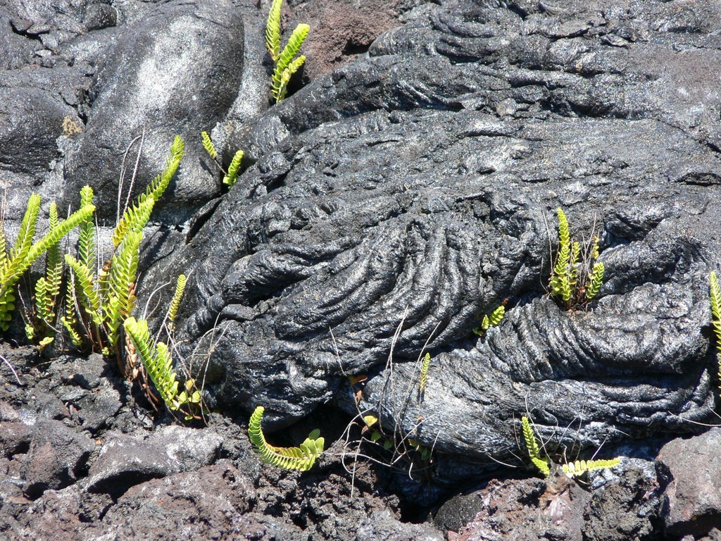 Le Grand Brûlé - Coulée 2001 (Ile de la Réunion) by jasonvy7