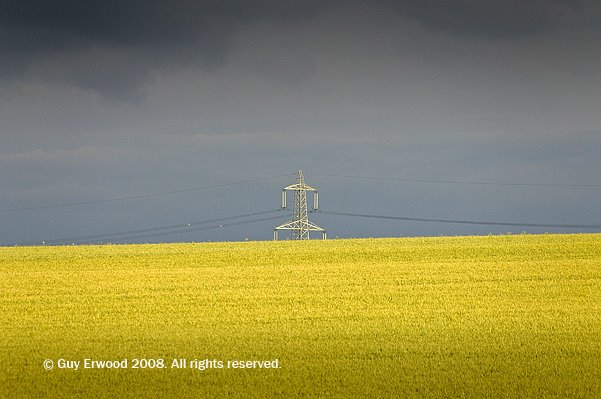 Near Essendine by Guy Erwood