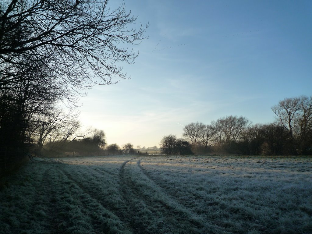 Frosty day by The Thames by andy thompsett