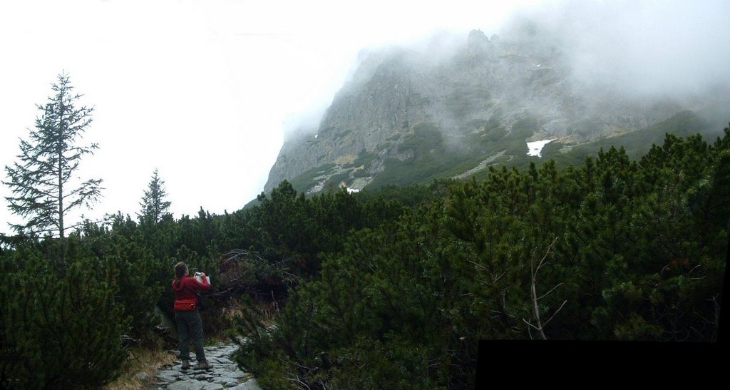 Tourist path in High Tatras by Lester Kovac