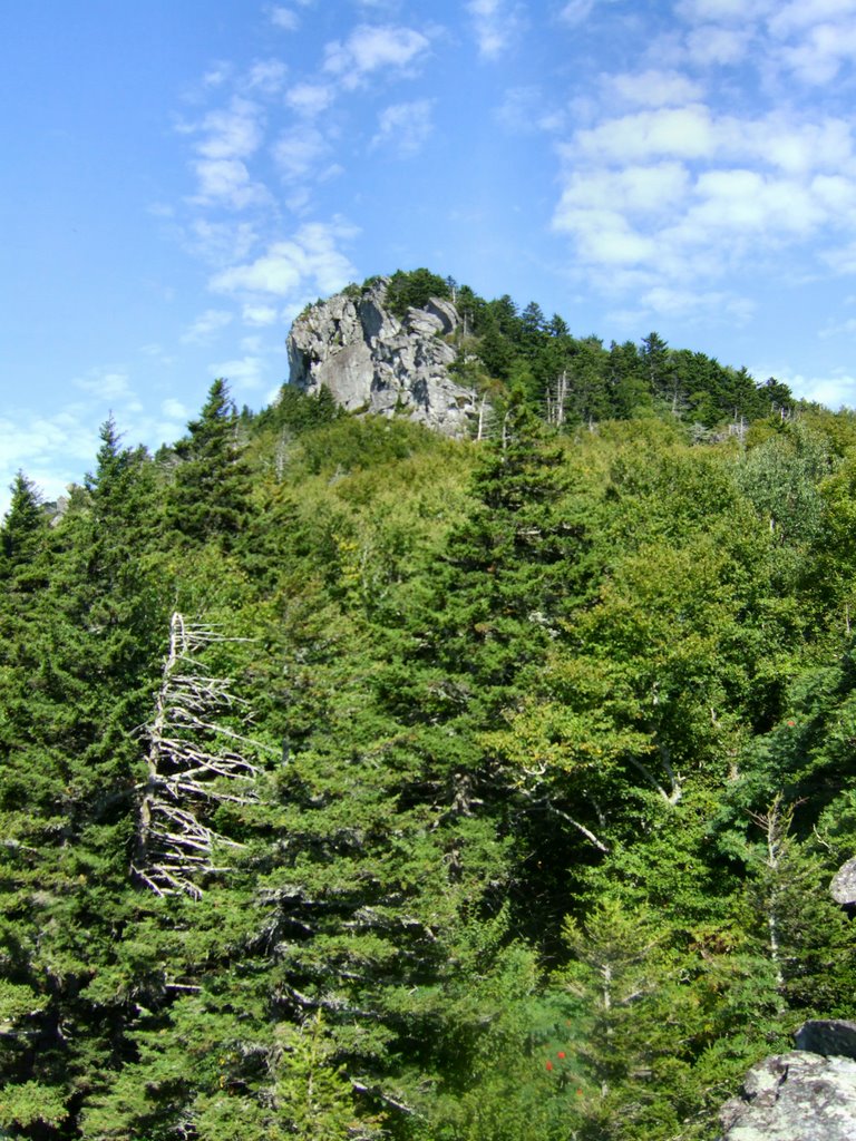 Looking up at peak from picnic area by Michael Lowe