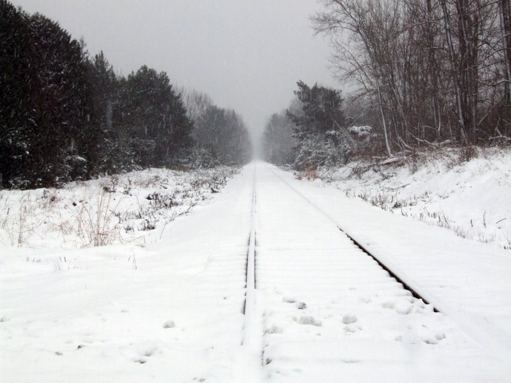 Snow Tracks by chrisf66