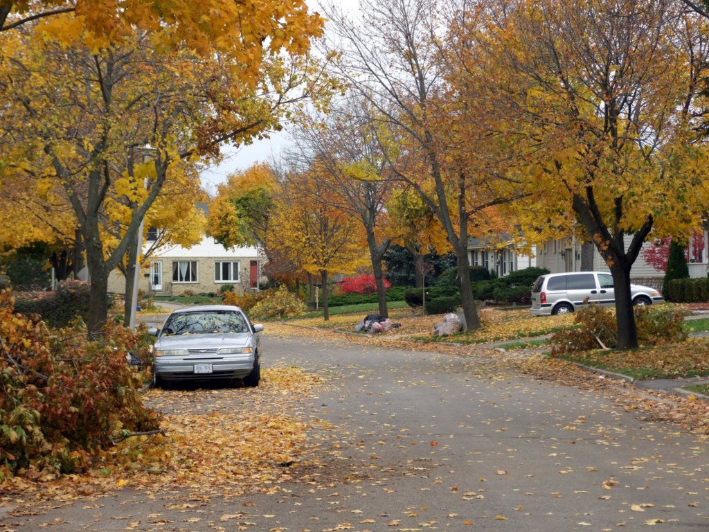 Westminster, London, ON, Canada by marwan samman