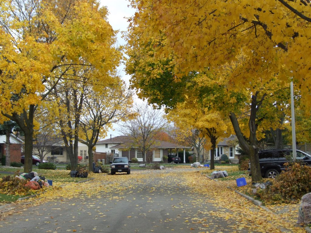 Westminster, London, ON, Canada by marwan samman