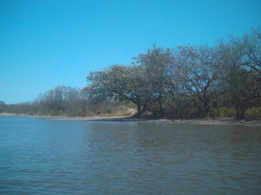 Estero dentro de la isla de Cachimbo by Rodrigo Dominguez Cuervo